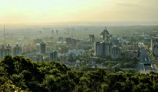 Black Label Billiards in Almaty